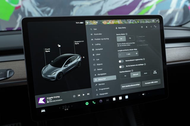 2021 TESLA MODEL 3 - 29