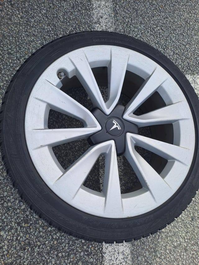 2021 TESLA MODEL 3 - 13