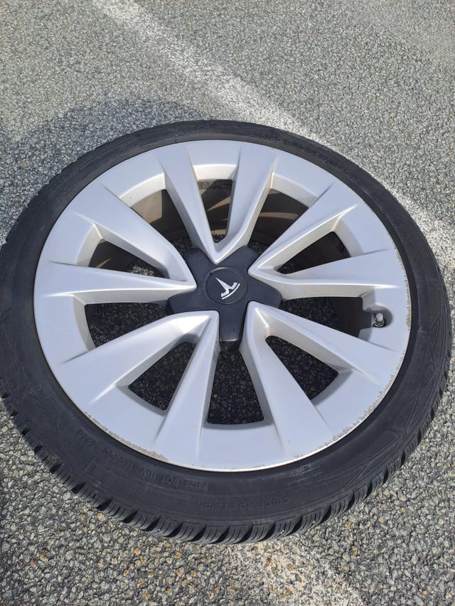 2021 TESLA MODEL 3 - 15