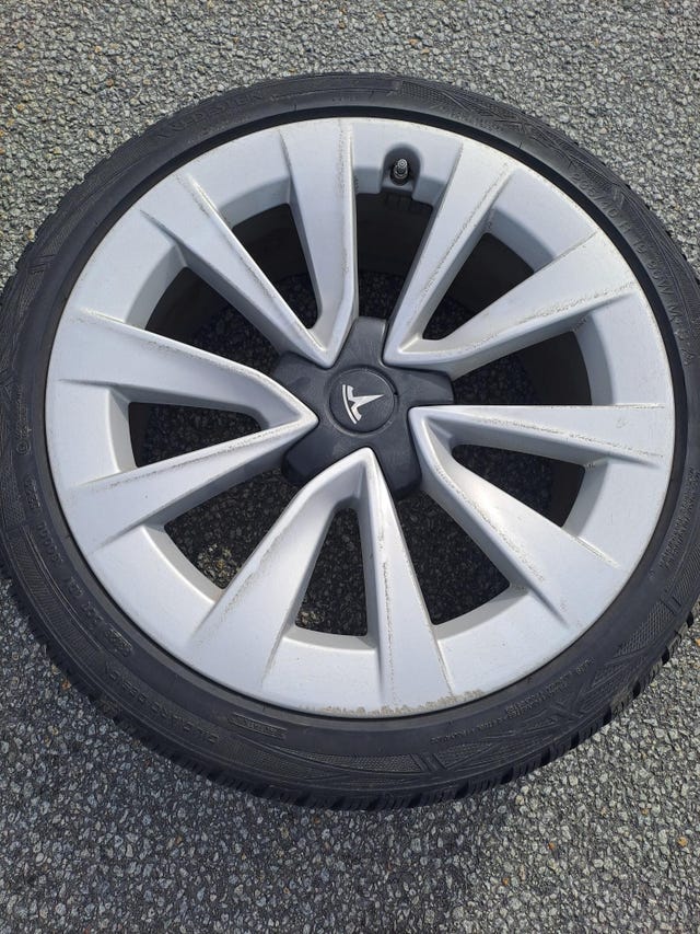 2021 TESLA MODEL 3 - 14