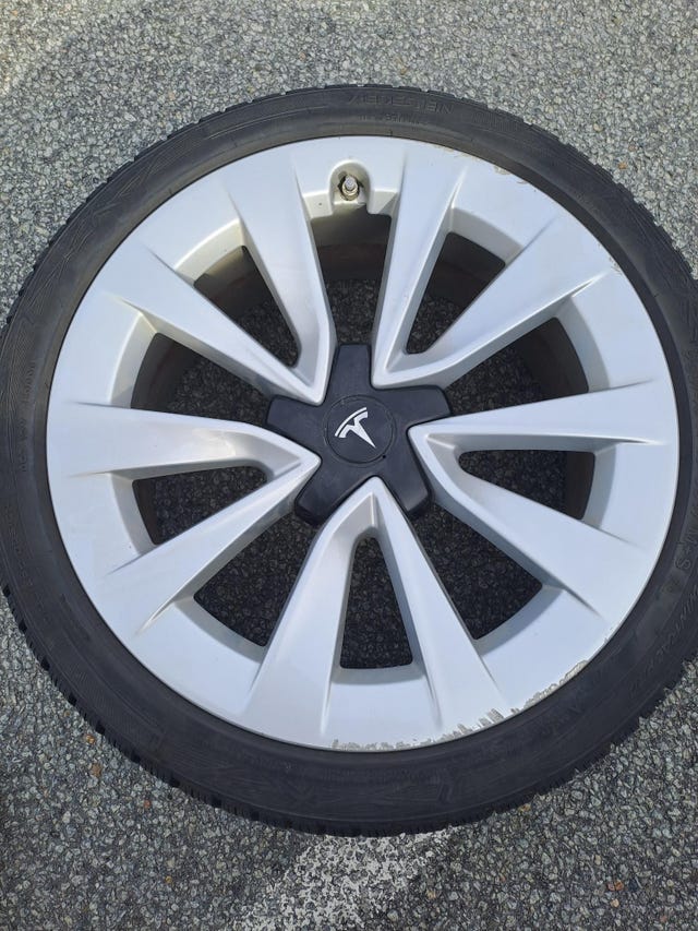 2021 TESLA MODEL 3 - 12