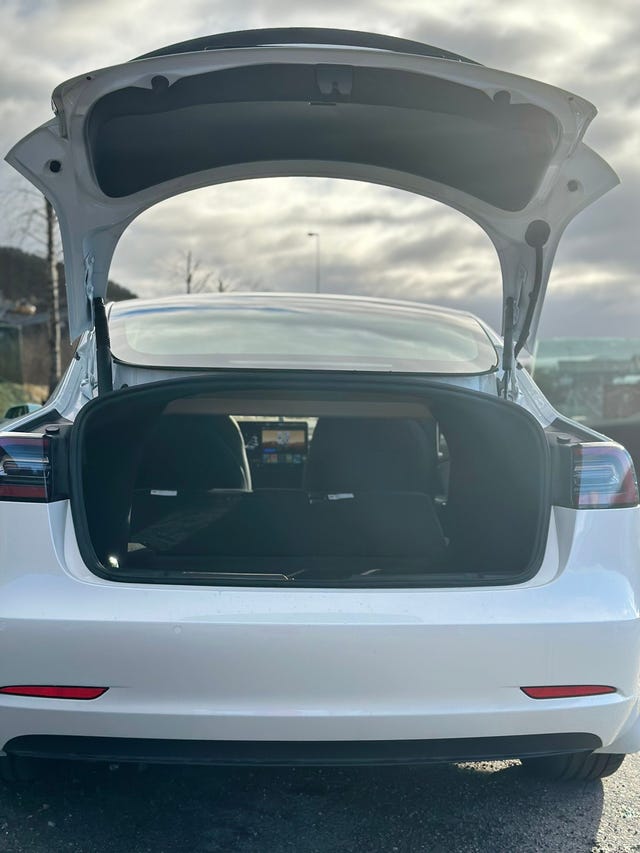 2021 TESLA MODEL 3 - 12