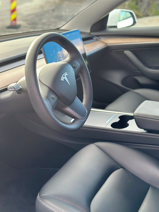 2021 TESLA MODEL 3 - 9