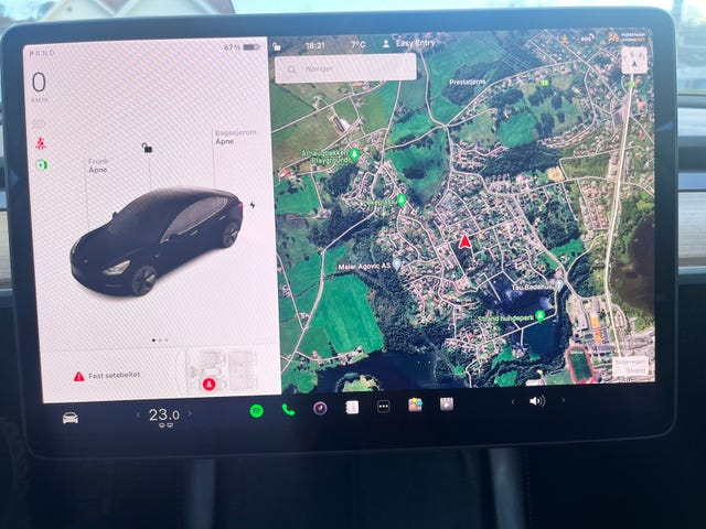 2021 TESLA MODEL 3 - 19