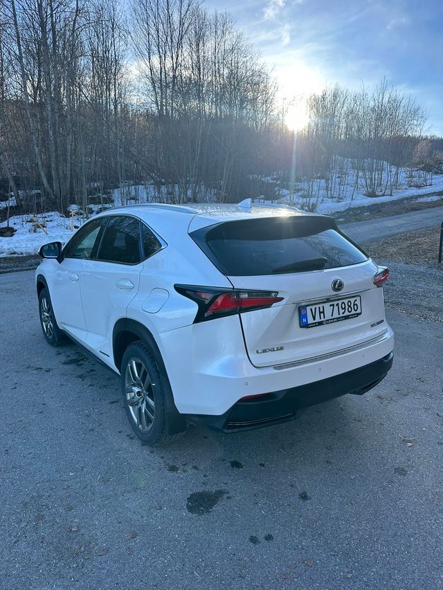 2015 LEXUS NX 300H - 12