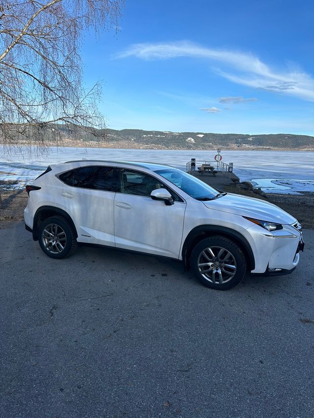 2015 LEXUS NX 300H - 7