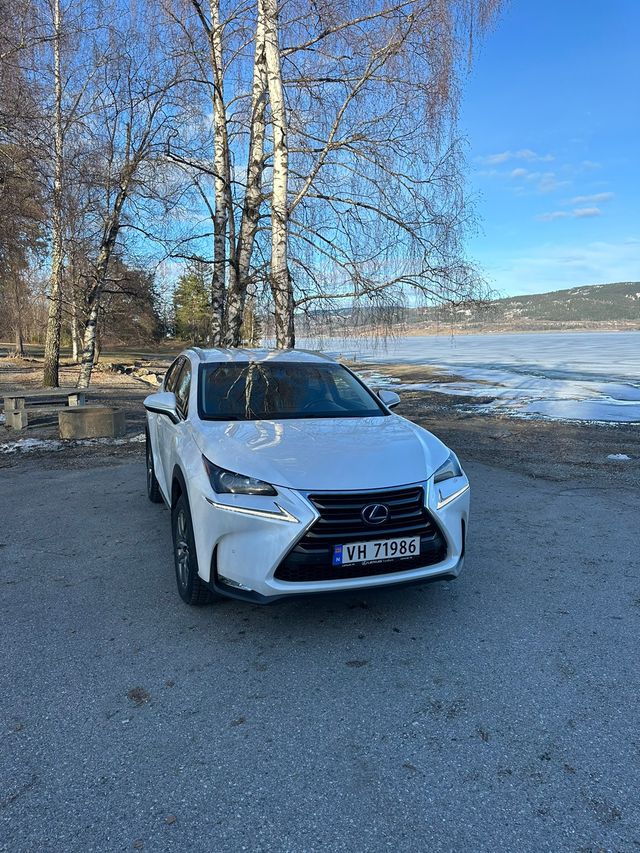 2015 LEXUS NX 300H - 15