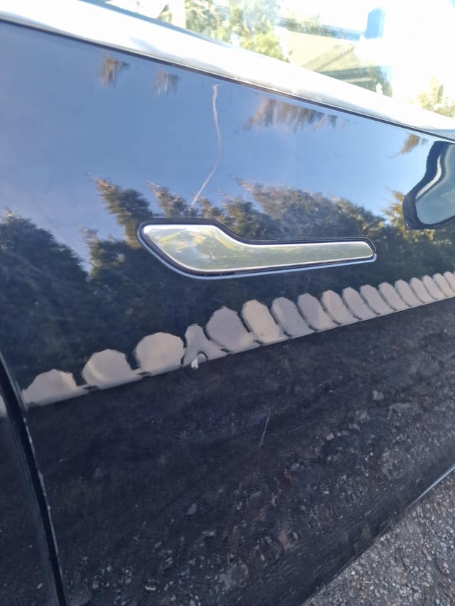 2019 TESLA MODEL 3 - 23
