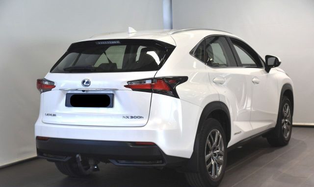 2015 LEXUS NX 300H - 21