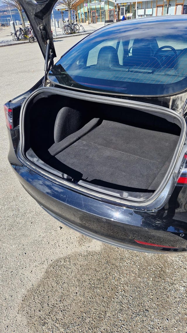 2019 TESLA MODEL 3 - 10