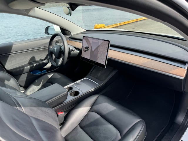 2021 TESLA MODEL 3 - 8