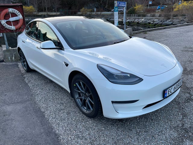 2021 TESLA MODEL 3 - 19