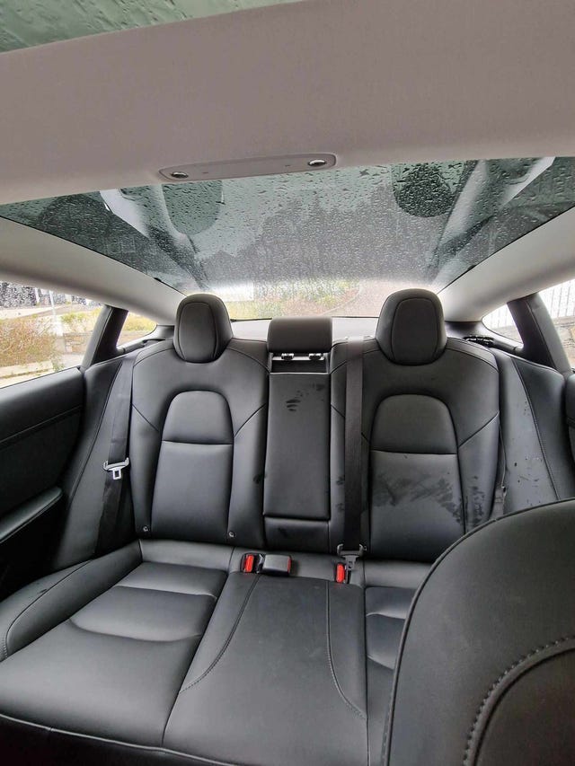 2021 TESLA MODEL 3 - 18