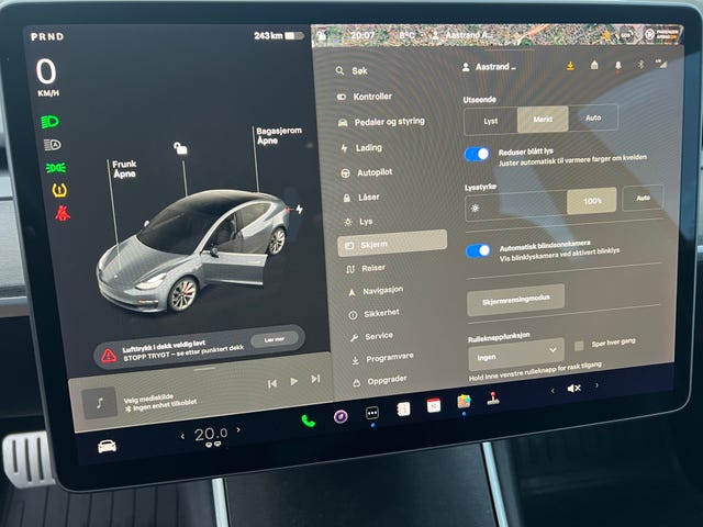 2019 TESLA MODEL 3 - 29