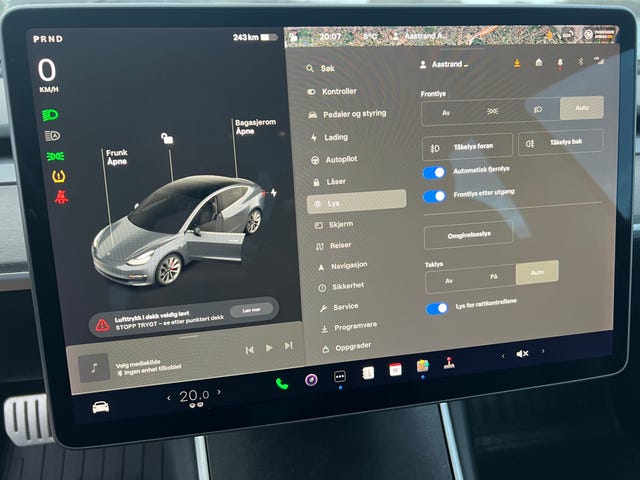 2019 TESLA MODEL 3 - 30