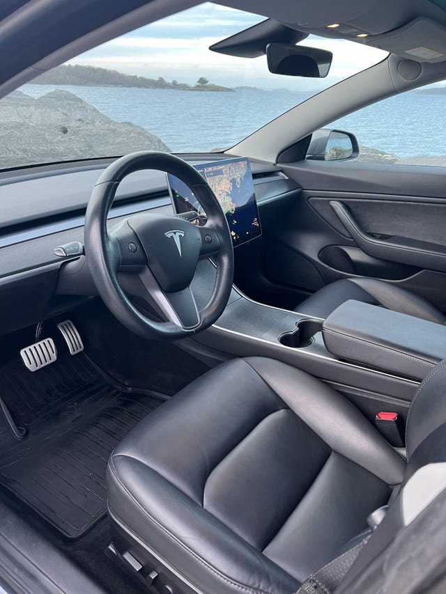 2019 TESLA MODEL 3 - 14