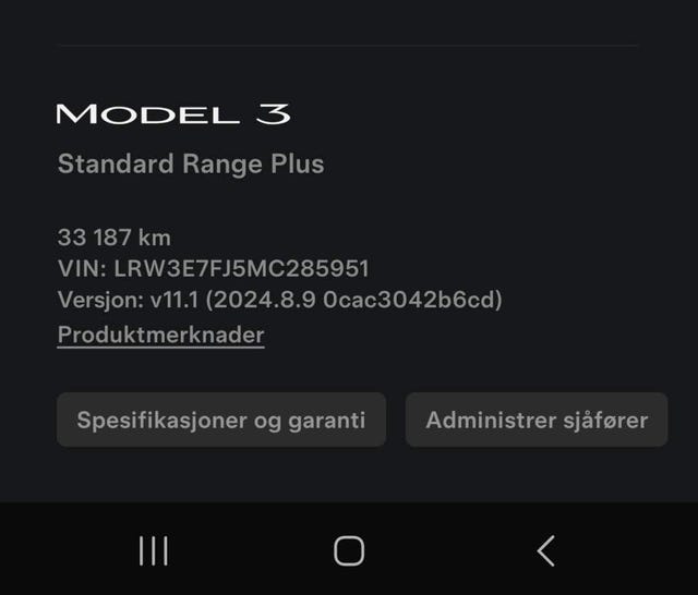 2021 TESLA MODEL 3 - 11