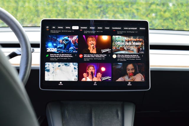 2021 TESLA MODEL 3 - 31