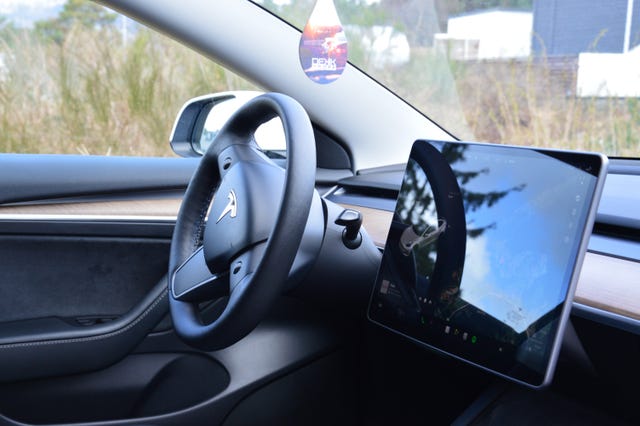 2021 TESLA MODEL 3 - 16
