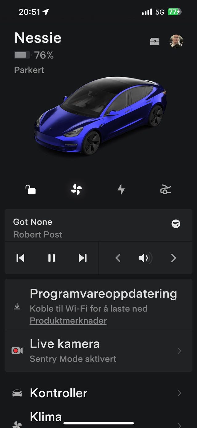 2021 TESLA MODEL 3 - 35