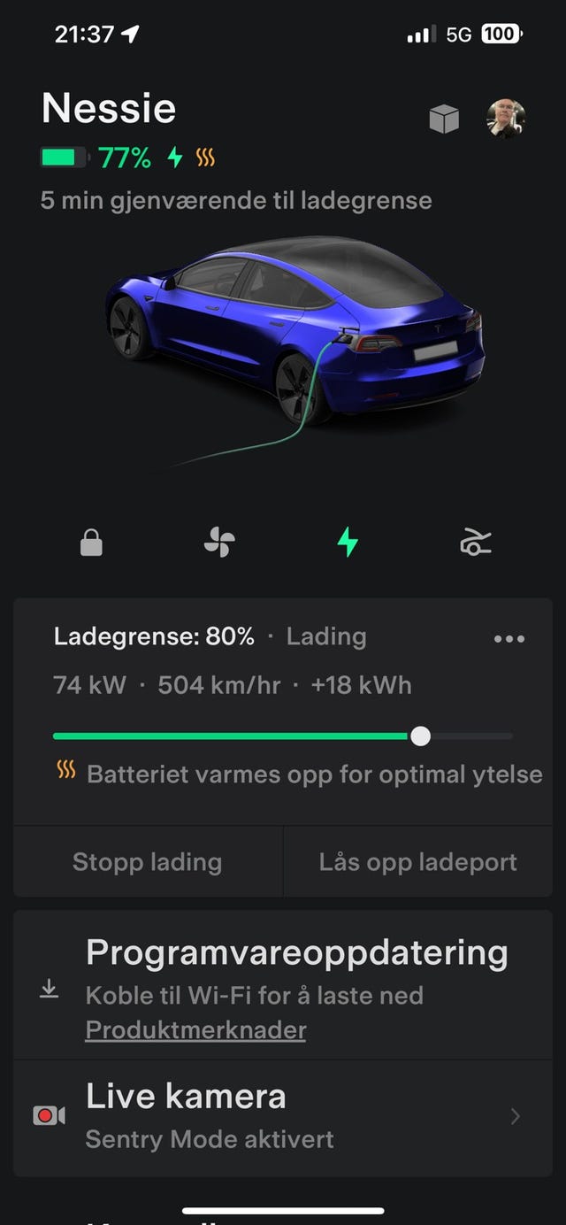 2021 TESLA MODEL 3 - 34