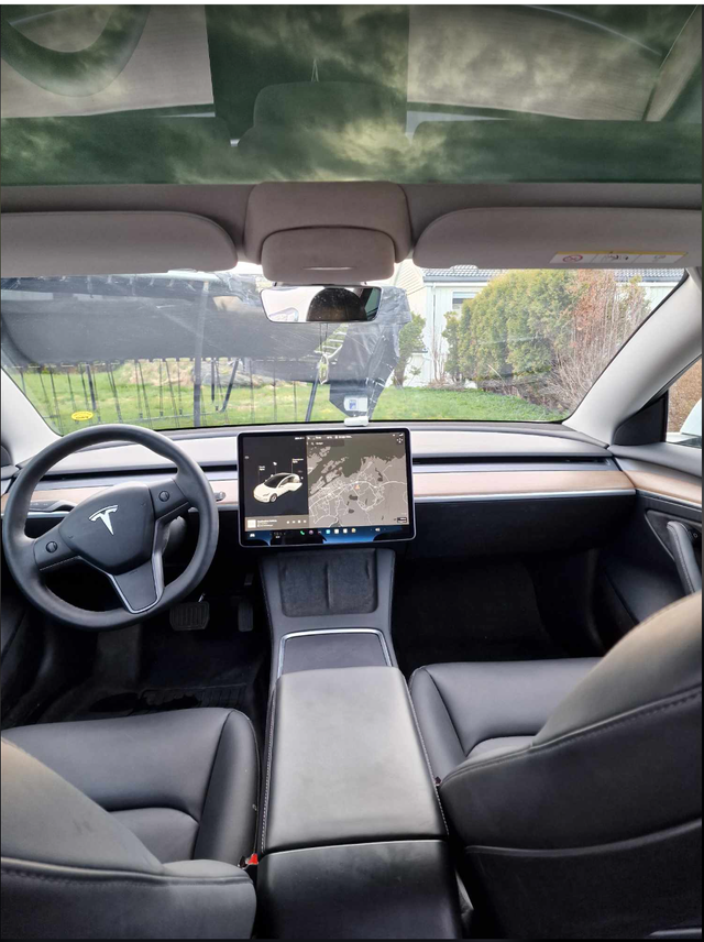 2021 TESLA MODEL 3 - 15