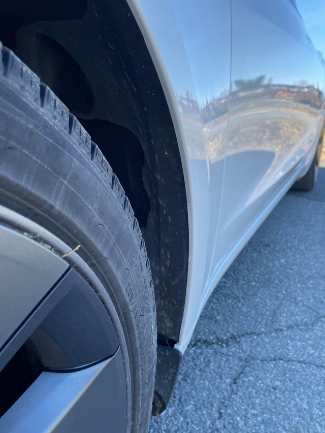 2021 TESLA MODEL 3 - 31
