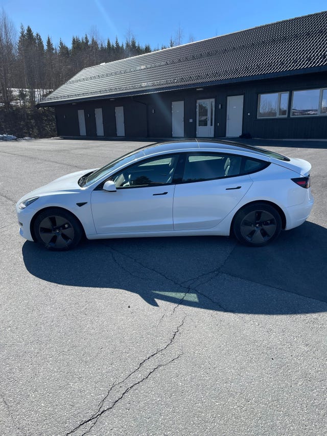 2021 TESLA MODEL 3 - 15