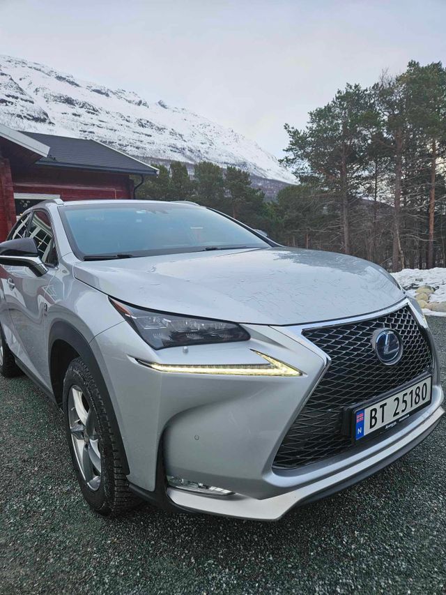 2015 LEXUS NX 300H - 19