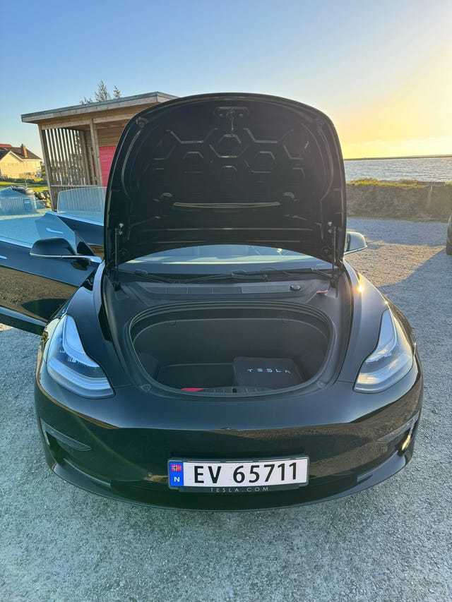 2019 TESLA MODEL 3 - 15