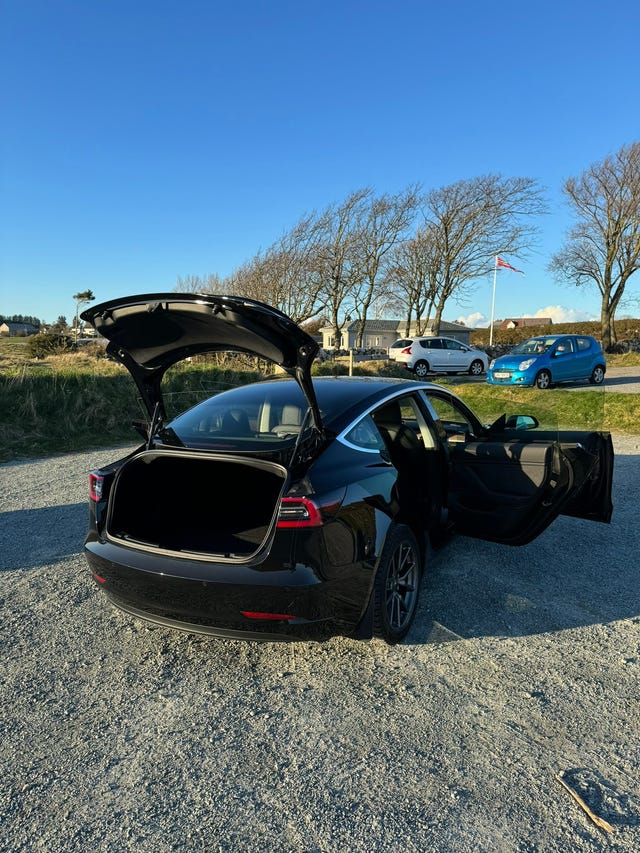 2019 TESLA MODEL 3 - 14