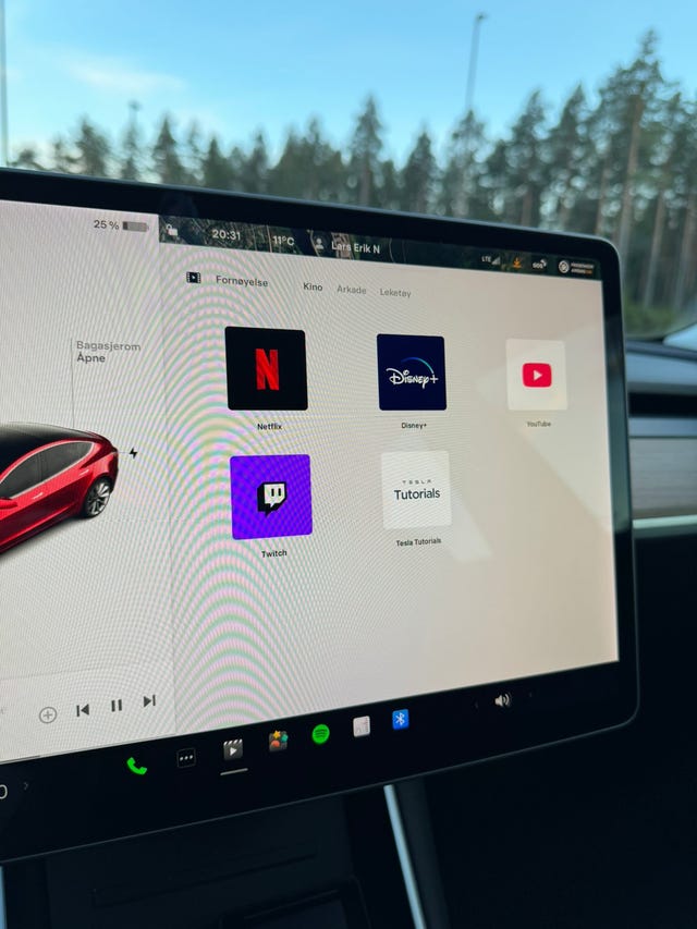 2019 TESLA MODEL 3 - 15