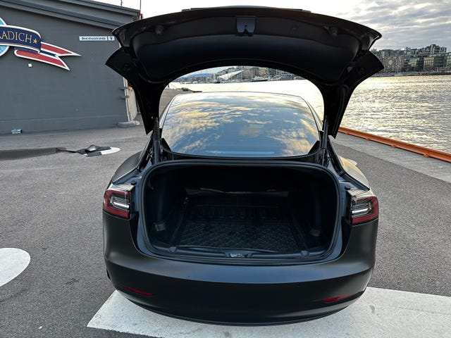 2021 TESLA MODEL 3 - 19