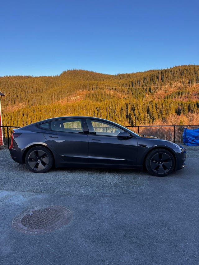 LRW3E7EK9MC300364 2021 TESLA MODEL 3-0