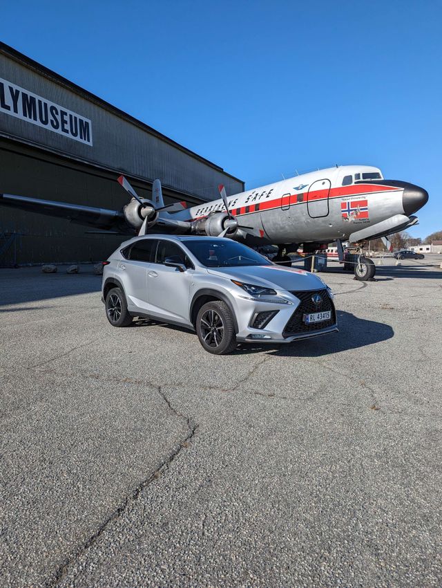 2019 LEXUS NX 300H - 13