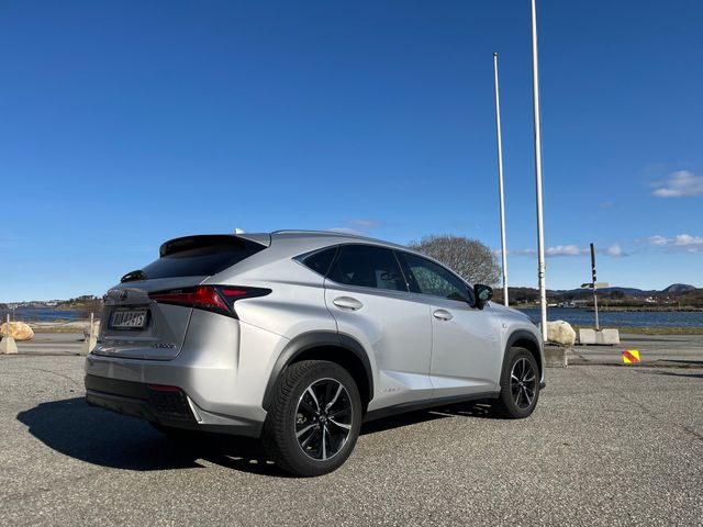 JTJBJRBZ502118178 2019 LEXUS NX 300H-3