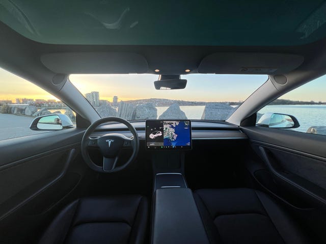 2021 TESLA MODEL 3 - 29