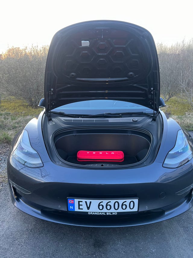 2019 TESLA MODEL 3 - 12