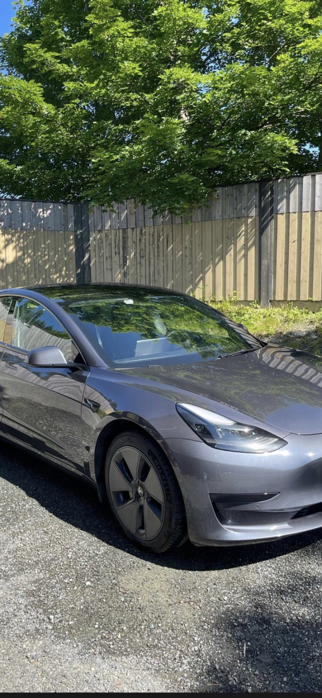 LRW3E7FA6MC367977 2021 TESLA MODEL 3-1