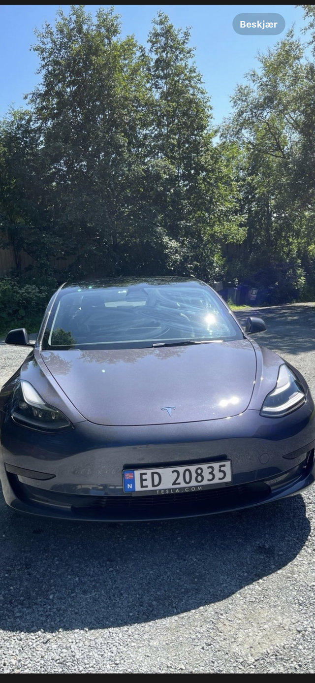 LRW3E7FA6MC367977 2021 TESLA MODEL 3-3