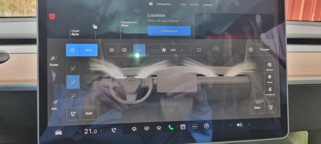 2021 TESLA MODEL 3 - 13