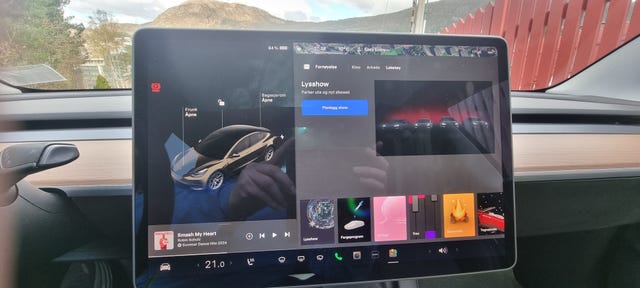 2021 TESLA MODEL 3 - 20