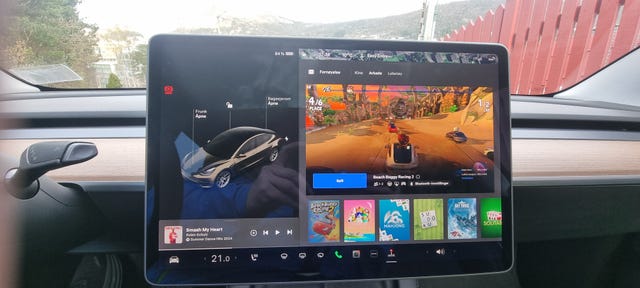 2021 TESLA MODEL 3 - 17
