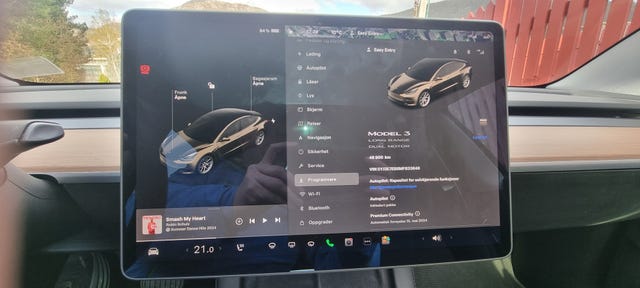 2021 TESLA MODEL 3 - 19