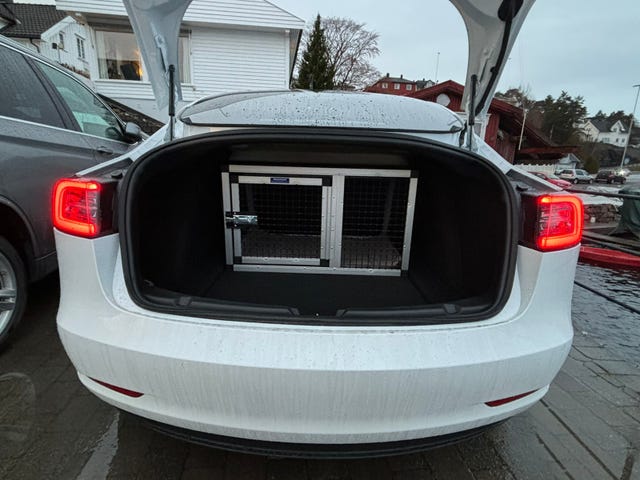 2019 TESLA MODEL 3 - 30