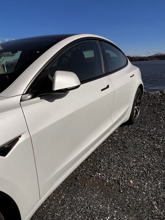 2021 TESLA MODEL 3 - 19