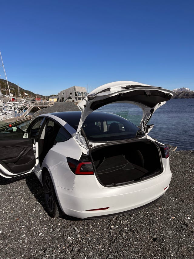 2021 TESLA MODEL 3 - 9