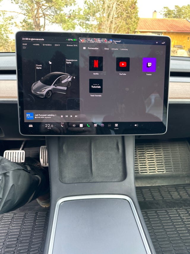 2021 TESLA MODEL 3 - 14