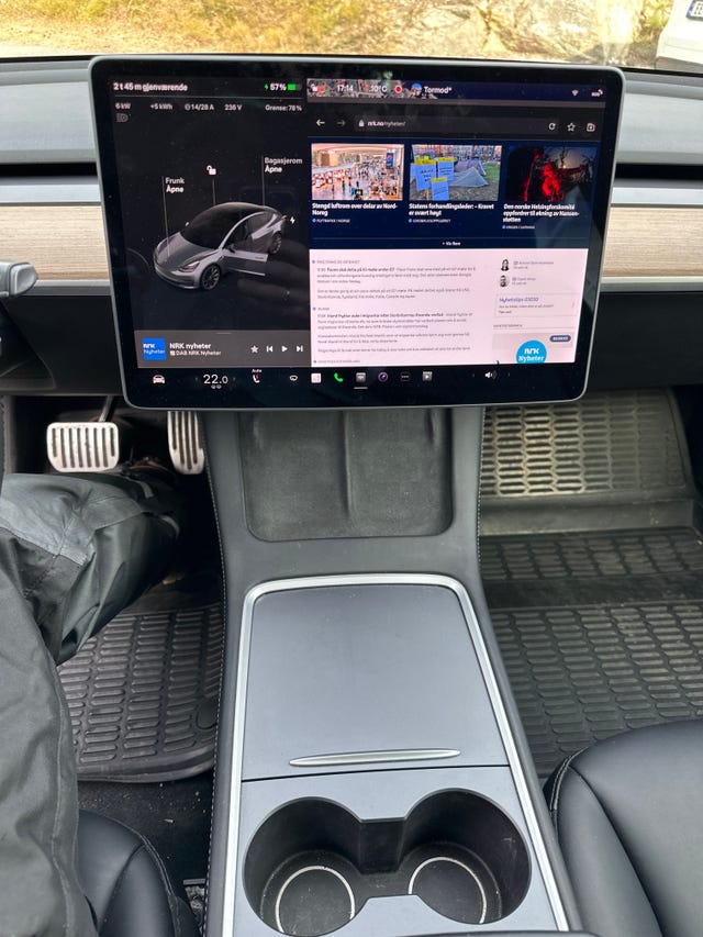 2021 TESLA MODEL 3 - 15