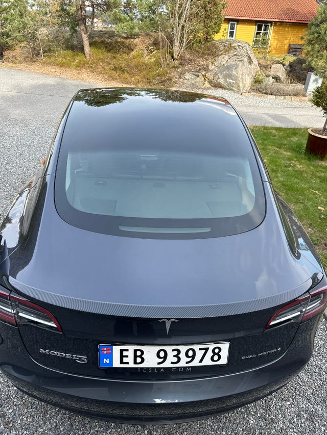 2021 TESLA MODEL 3 - 10